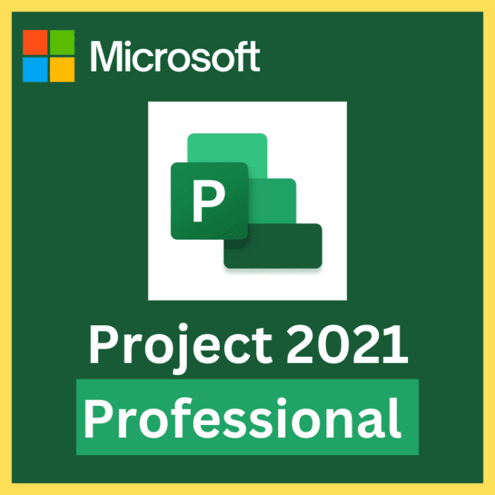 Microsoft project 2021
