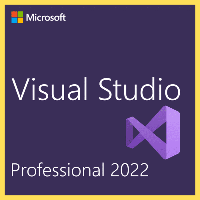 Microsoft visual studio 2022 professional