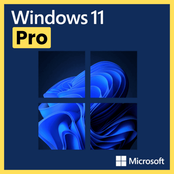 Microsoft Windows 11 Pro – Lifetime License Key