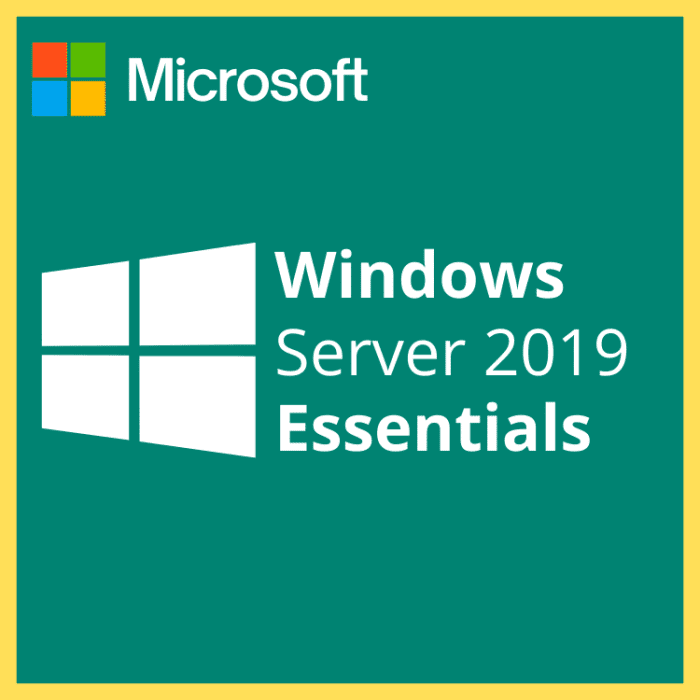 windows server 2019 essentials